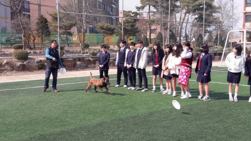 178902dc89e4e3e506a4f4c241207574_1496386