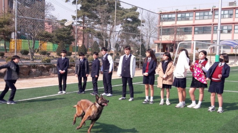 178902dc89e4e3e506a4f4c241207574_1496386