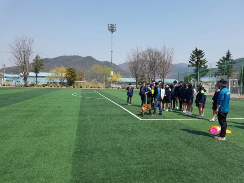 178902dc89e4e3e506a4f4c241207574_1496387