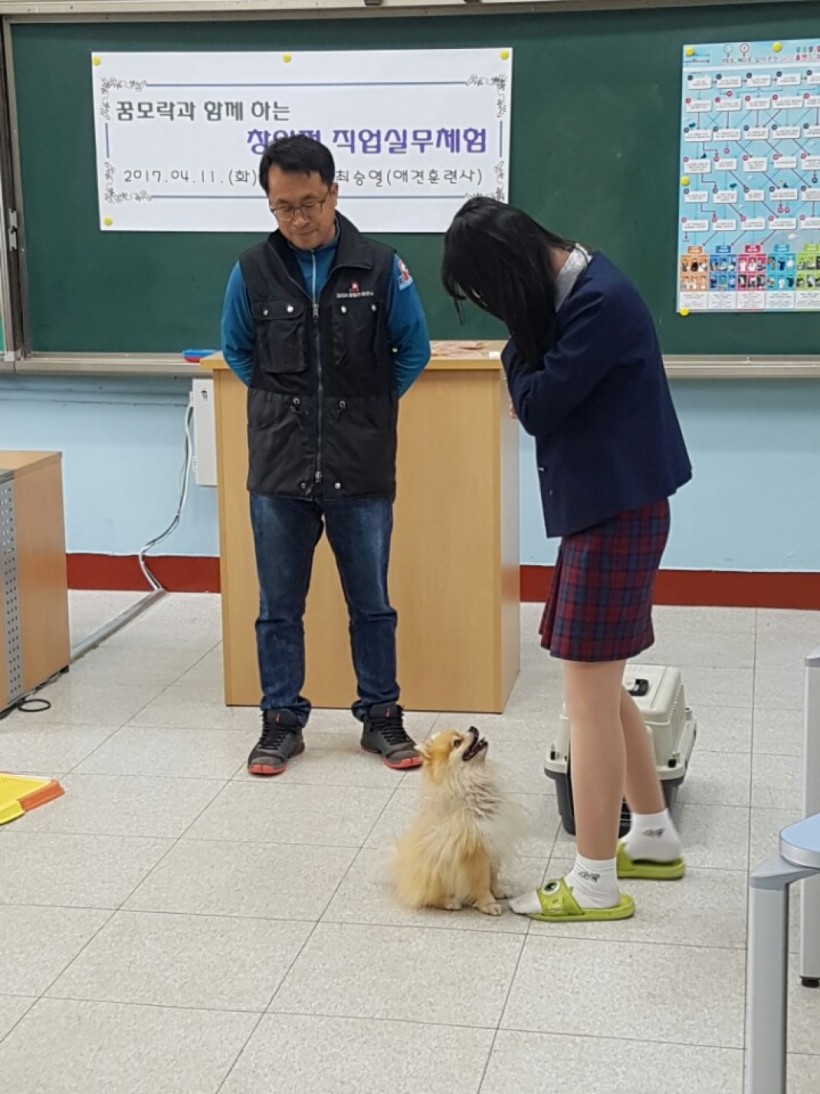 178902dc89e4e3e506a4f4c241207574_1496387