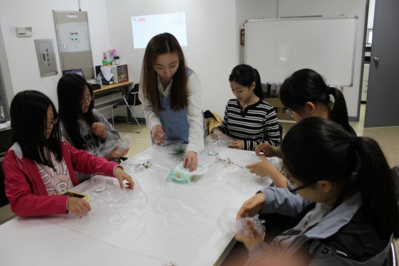 178902dc89e4e3e506a4f4c241207574_1496387