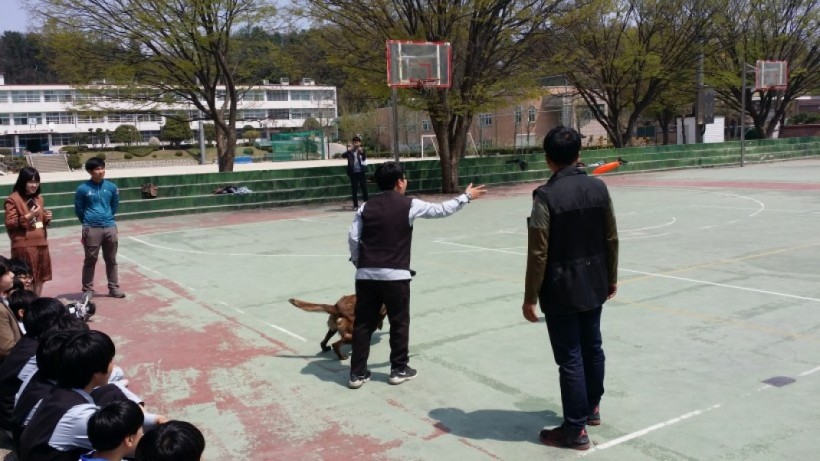 178902dc89e4e3e506a4f4c241207574_1496387