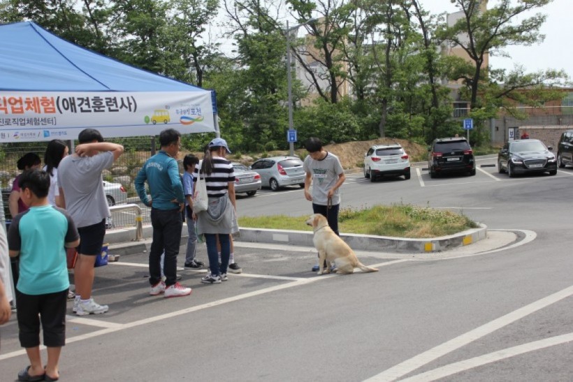 52bb5f967b6f0db6662497a98d12a938_1508491