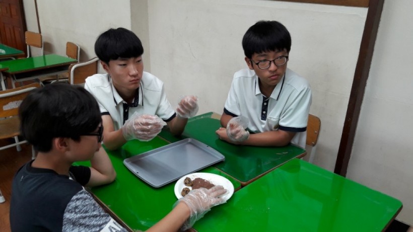 cbb7604c24066cd12d0f506940312f64_1509154