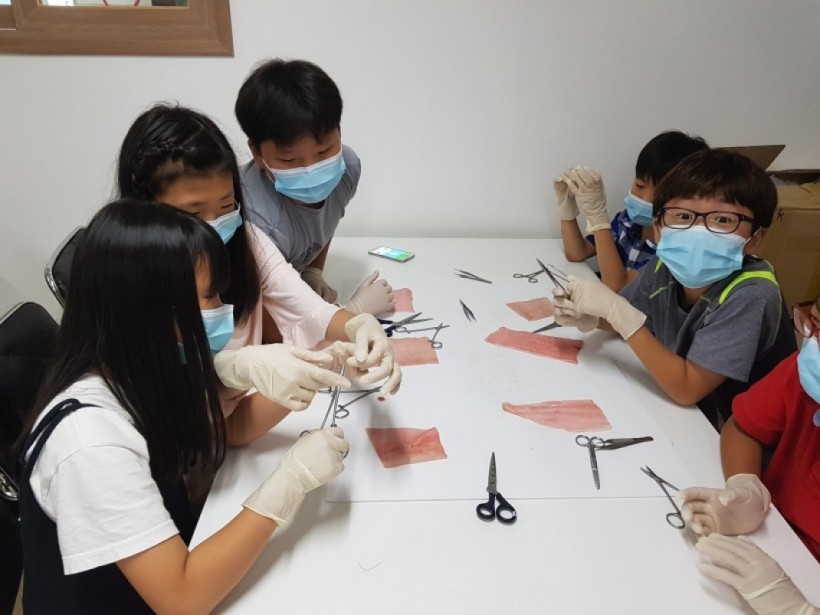 cbb7604c24066cd12d0f506940312f64_1509155