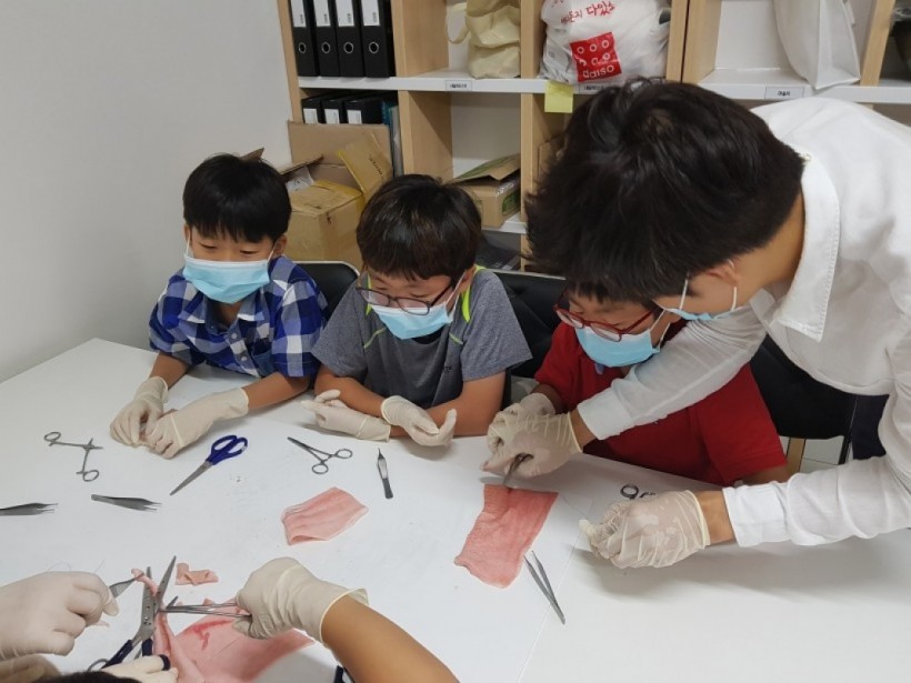 cbb7604c24066cd12d0f506940312f64_1509155