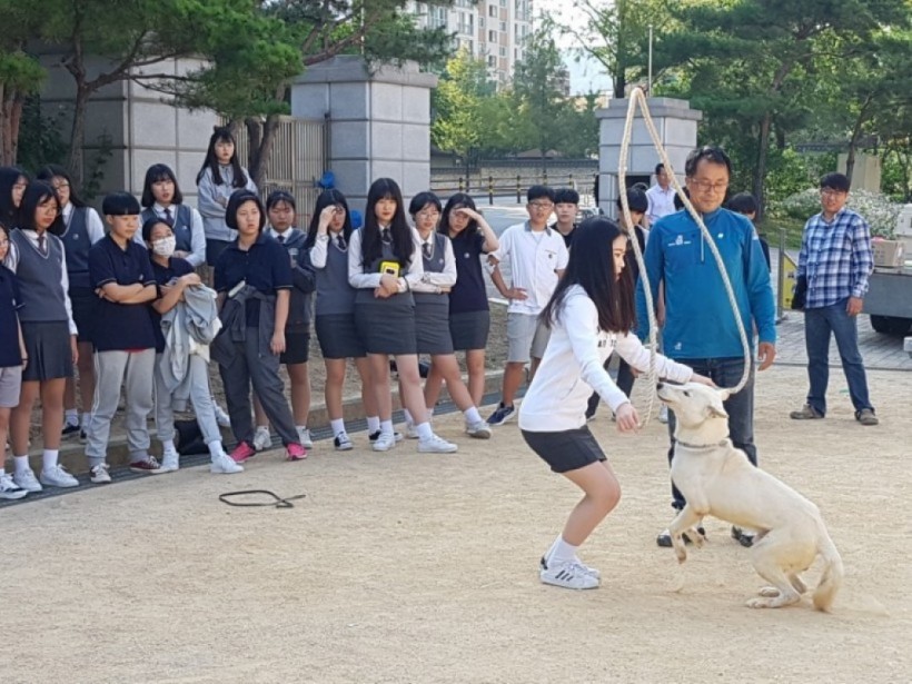 e7f709e96817a9a1422ffe39d5616fb6_1516933