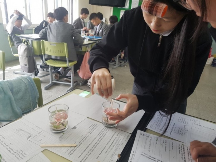 dbbd56d756ea29d47628630d4e38519f_1527049