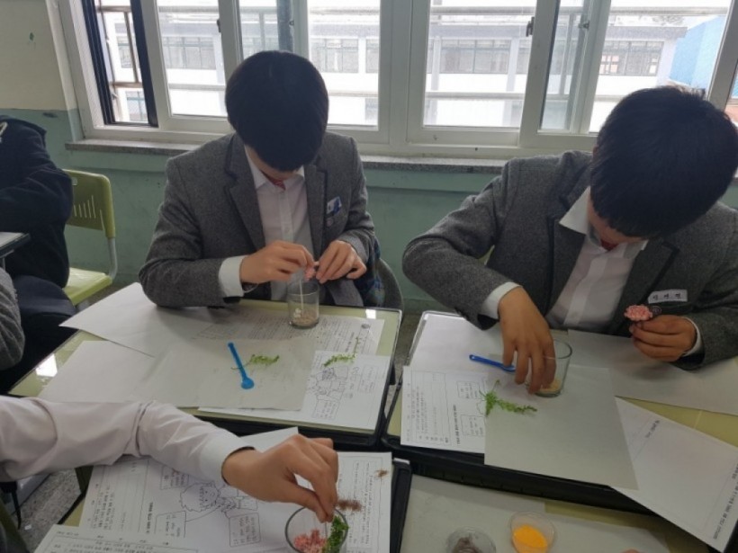 dbbd56d756ea29d47628630d4e38519f_1527049