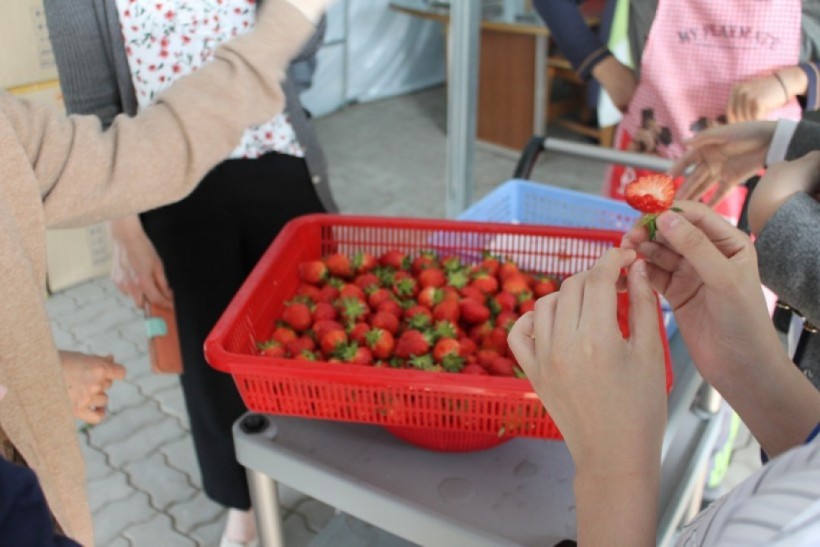 dbbd56d756ea29d47628630d4e38519f_1527050