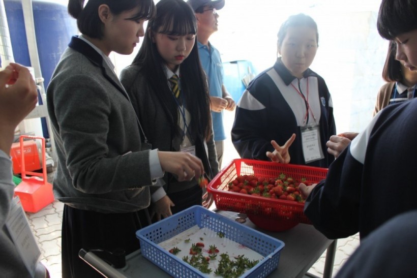 dbbd56d756ea29d47628630d4e38519f_1527050