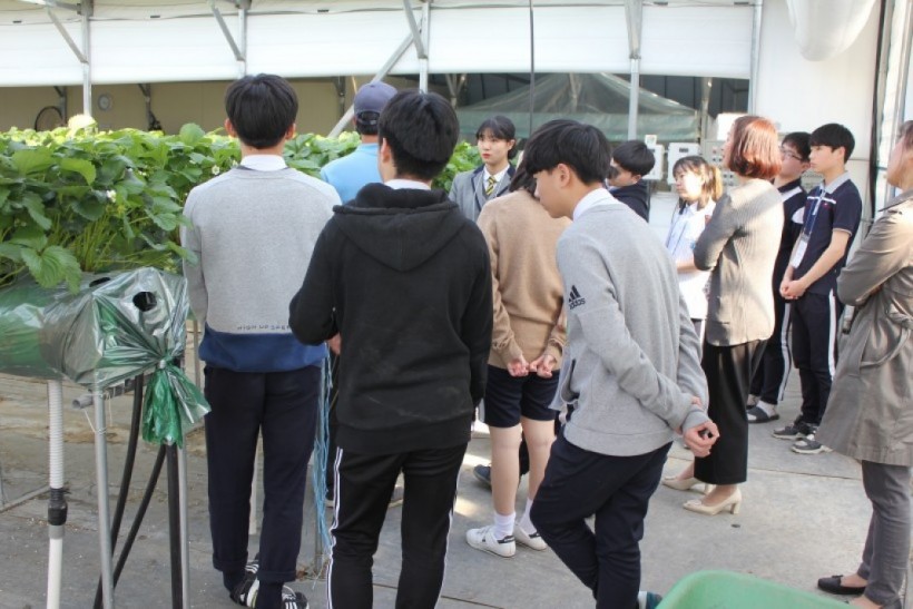 dbbd56d756ea29d47628630d4e38519f_1527050