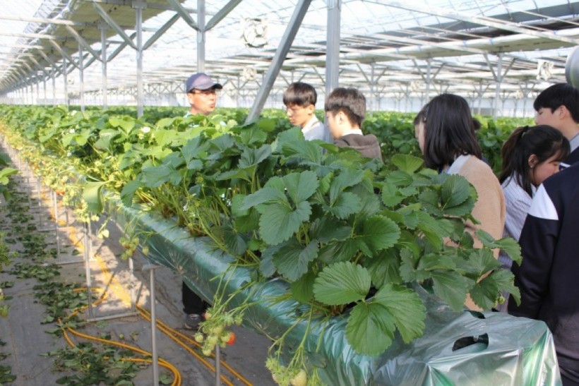 dbbd56d756ea29d47628630d4e38519f_1527050