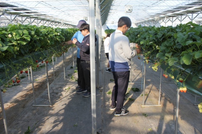 dbbd56d756ea29d47628630d4e38519f_1527050