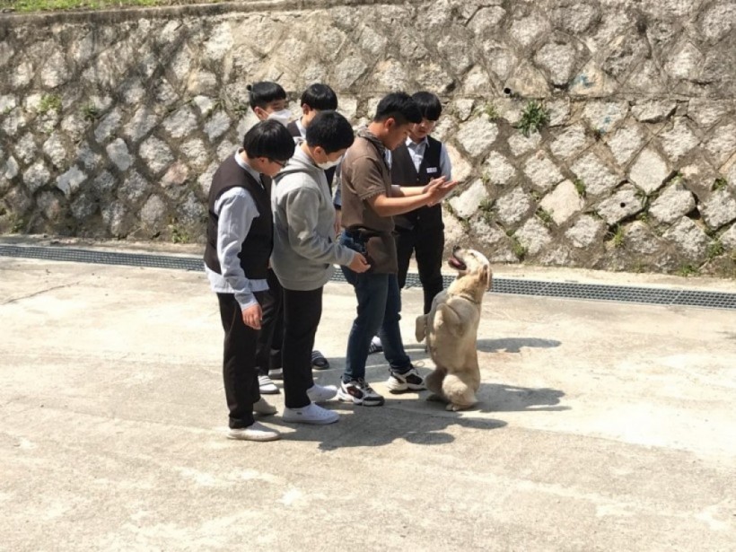 dbbd56d756ea29d47628630d4e38519f_1527051