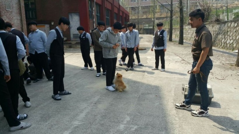 dbbd56d756ea29d47628630d4e38519f_1527051