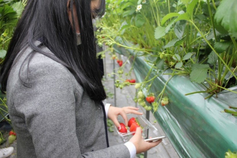 dbbd56d756ea29d47628630d4e38519f_1527051