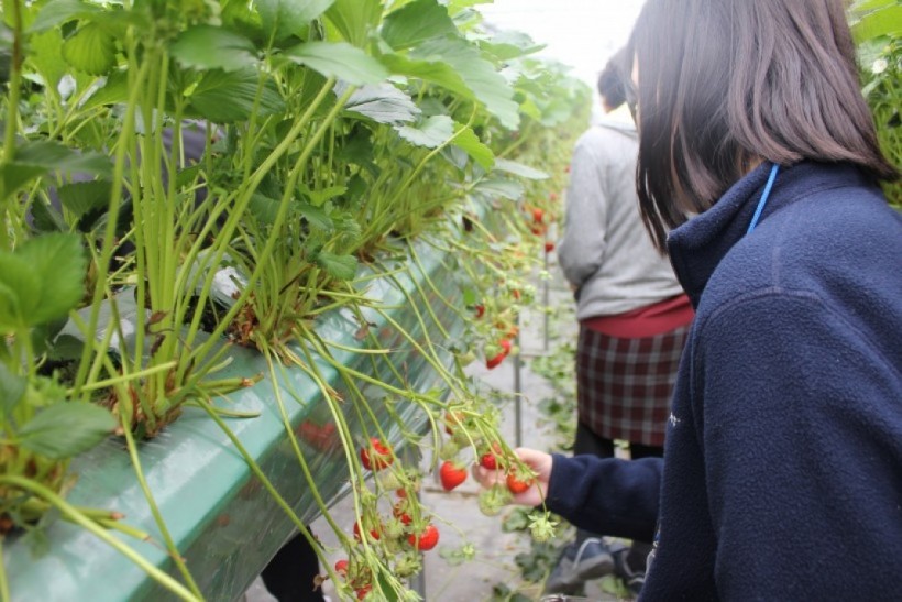 dbbd56d756ea29d47628630d4e38519f_1527051