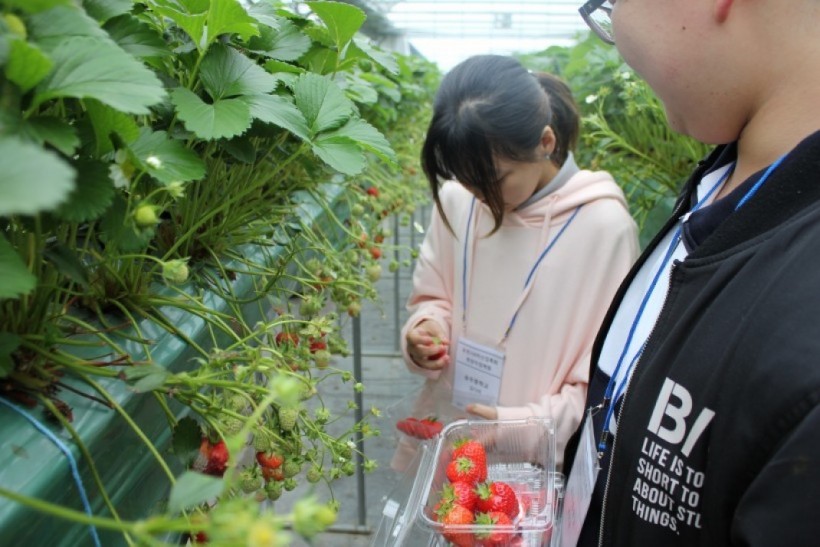 dbbd56d756ea29d47628630d4e38519f_1527051