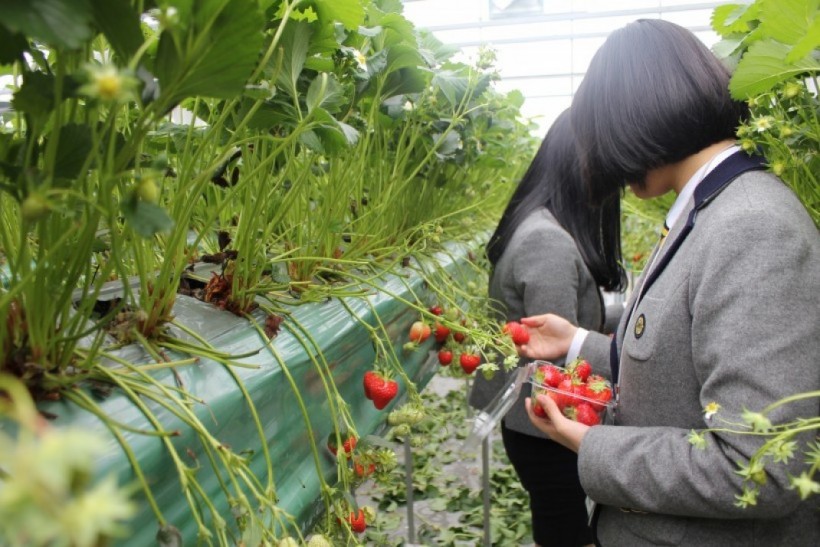 dbbd56d756ea29d47628630d4e38519f_1527051