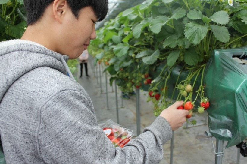 dbbd56d756ea29d47628630d4e38519f_1527051