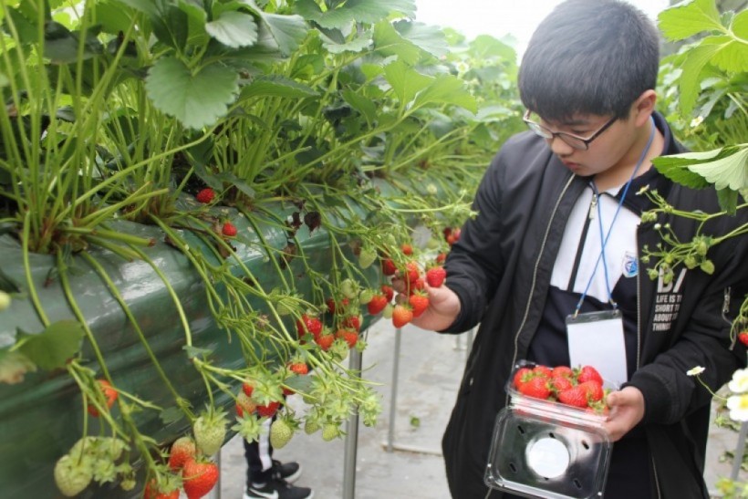 dbbd56d756ea29d47628630d4e38519f_1527051