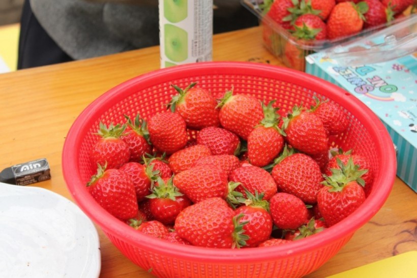 dbbd56d756ea29d47628630d4e38519f_1527051