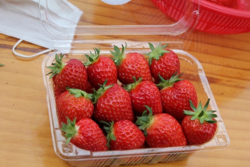 dbbd56d756ea29d47628630d4e38519f_1527052