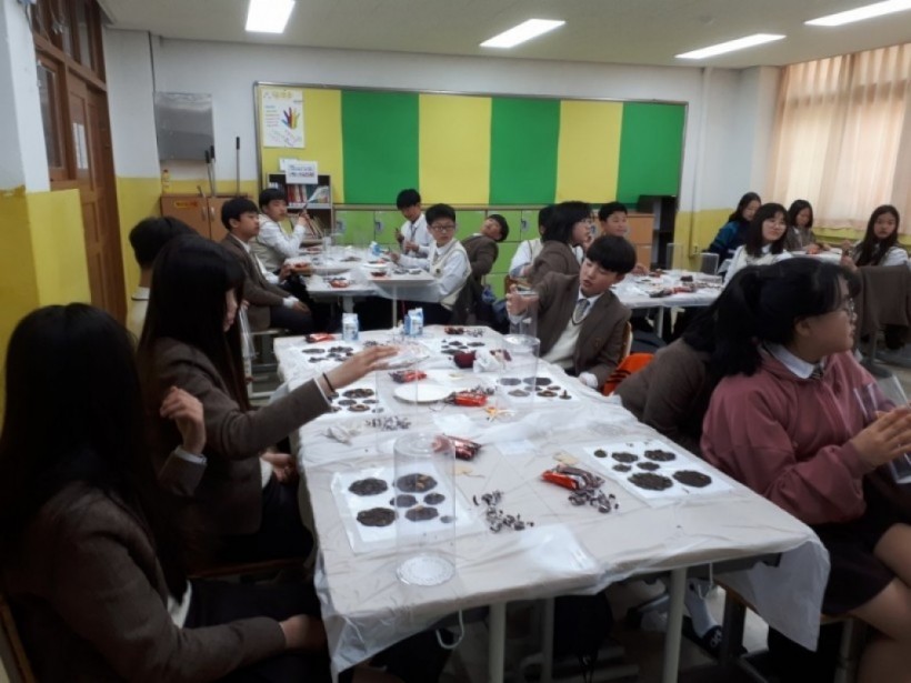 dbbd56d756ea29d47628630d4e38519f_1527052