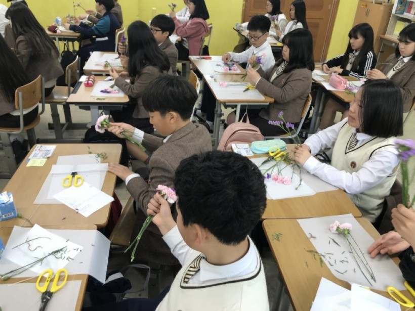 dbbd56d756ea29d47628630d4e38519f_1527054