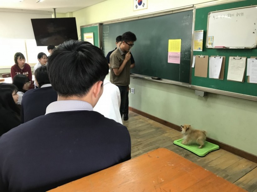 5ebcd9b9bdc93b012d47f27e3d497740_1529726