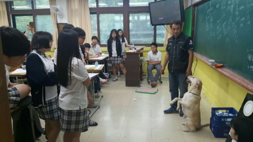 e3f8f988bec56fb47dacc9424812db4e_1541487