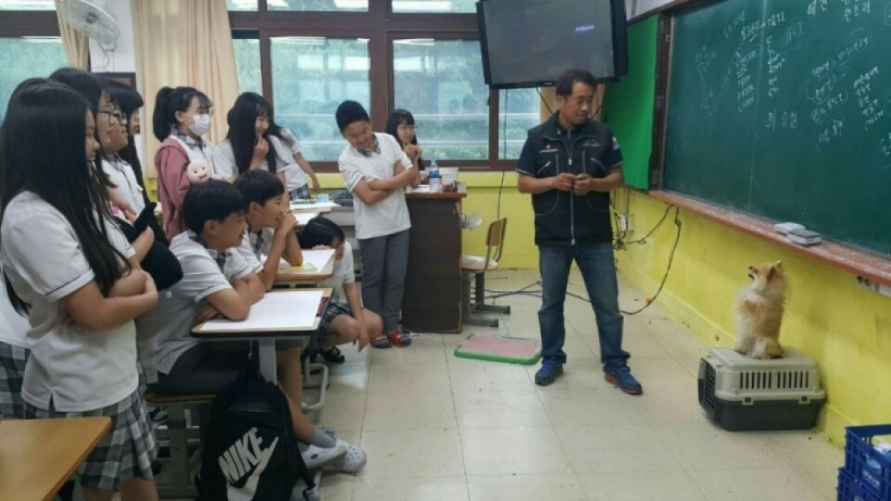 e3f8f988bec56fb47dacc9424812db4e_1541487