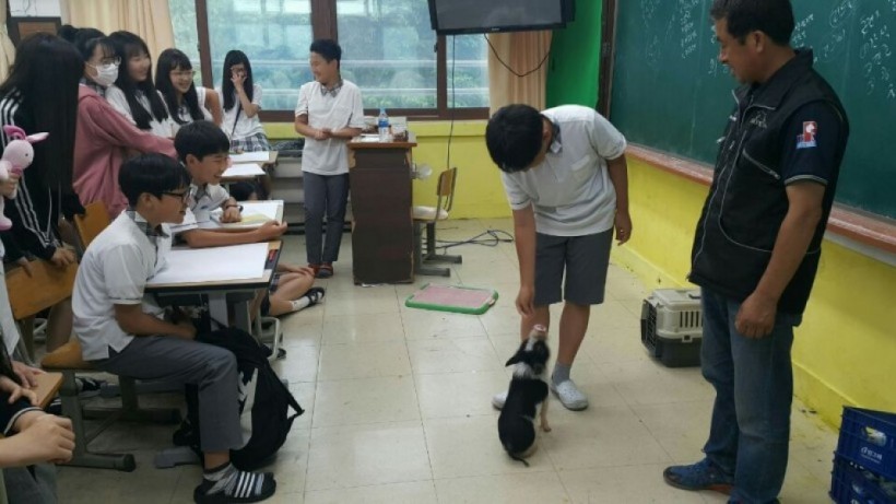 e3f8f988bec56fb47dacc9424812db4e_1541487