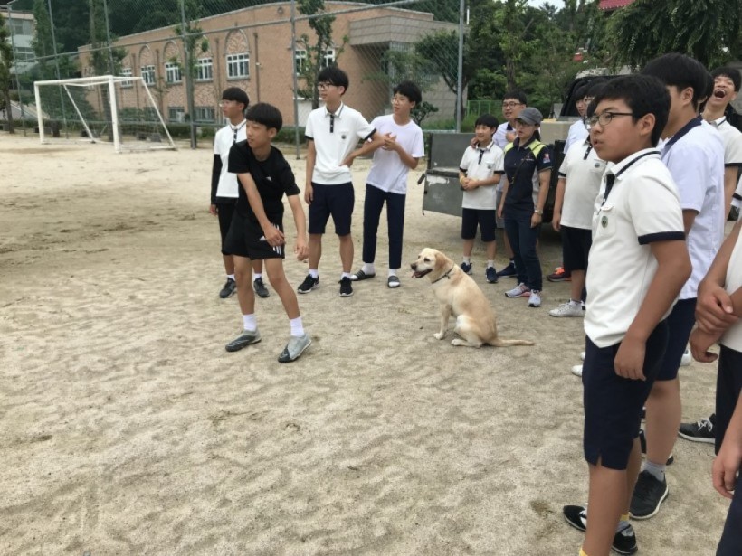 e3f8f988bec56fb47dacc9424812db4e_1541491