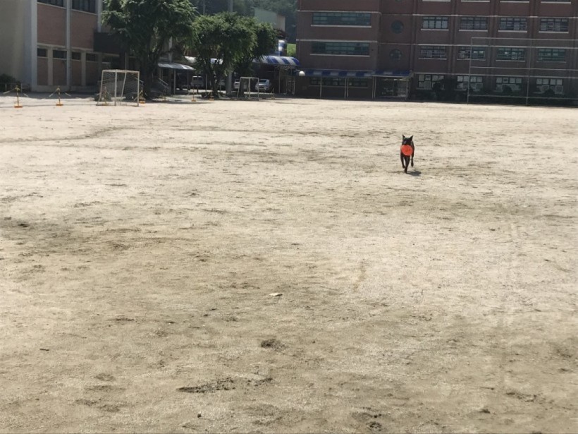 e3f8f988bec56fb47dacc9424812db4e_1541491