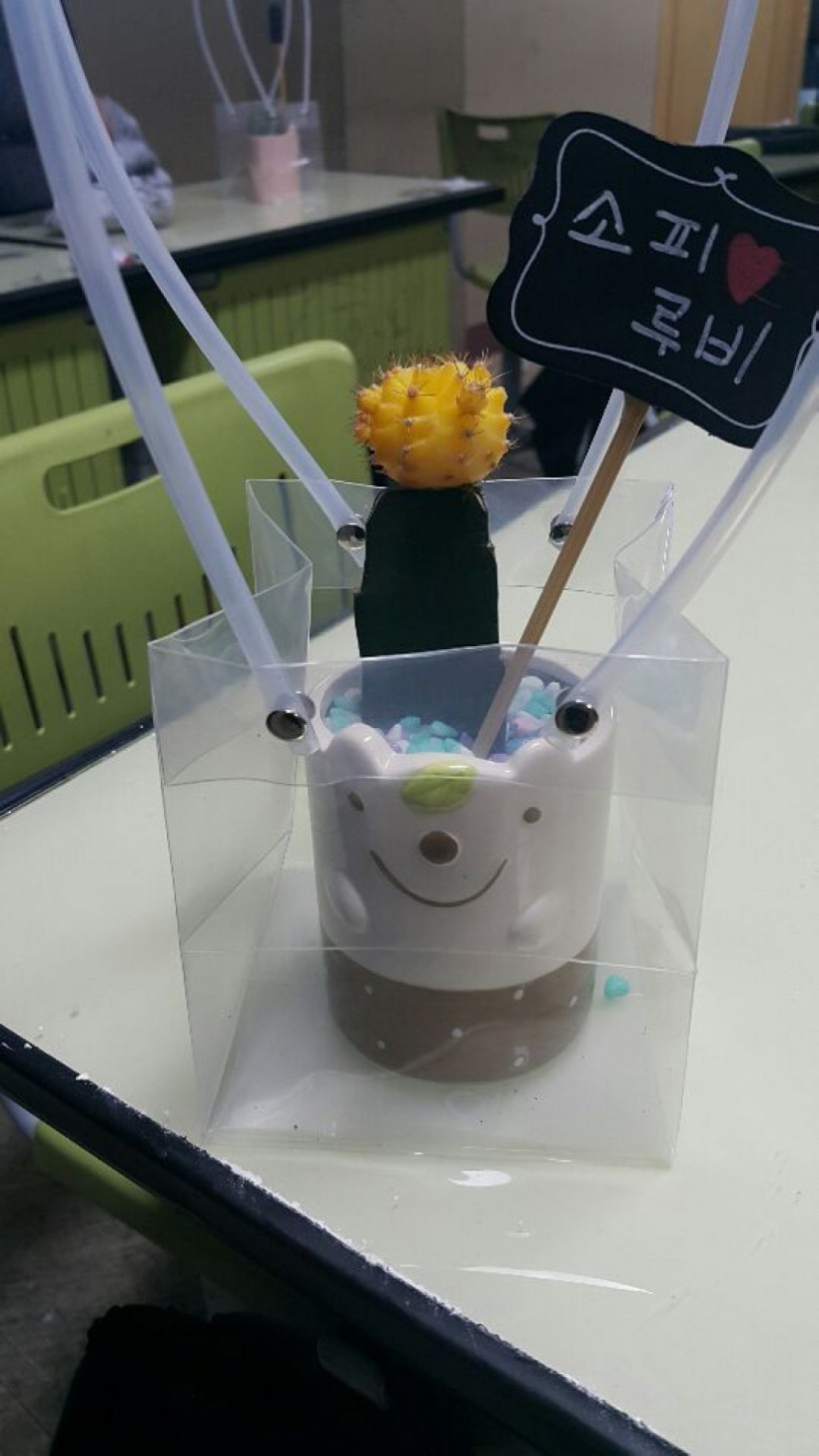 e3f8f988bec56fb47dacc9424812db4e_1541493