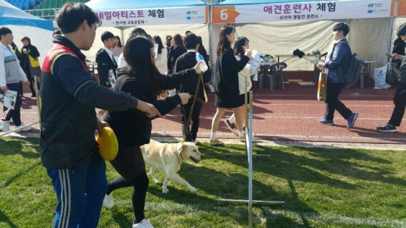 e3f8f988bec56fb47dacc9424812db4e_1541494