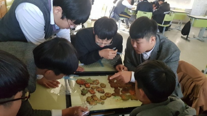 559275622093ecf5903064272c146caa_1547425