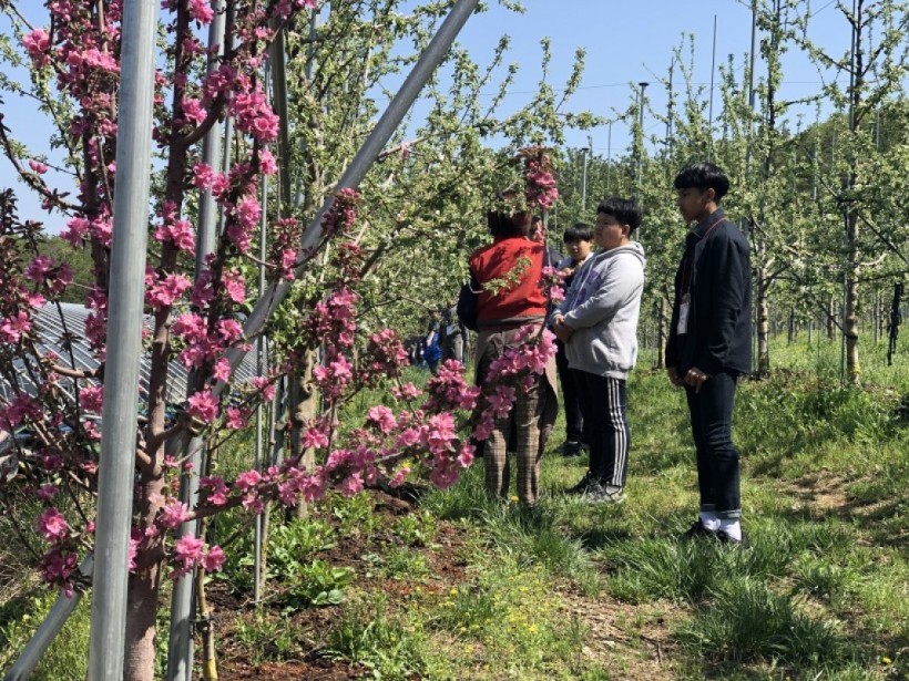 3d1ce7def3491db1db787207b48c44cc_1557474