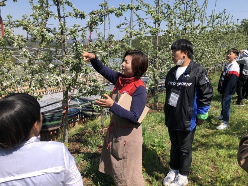 3d1ce7def3491db1db787207b48c44cc_1557474