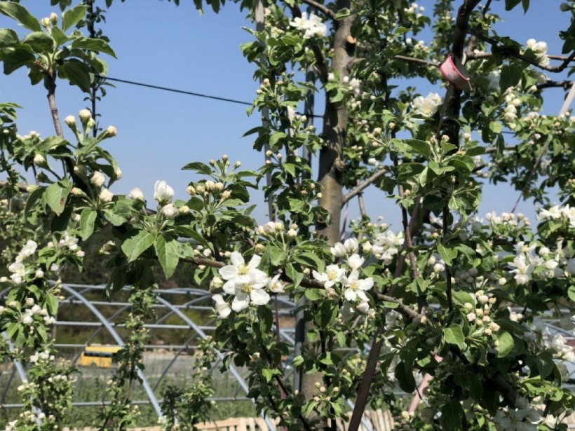 3d1ce7def3491db1db787207b48c44cc_1557474