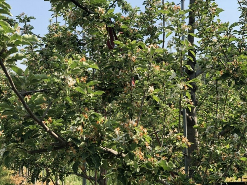 5d162afd351557f881ee5ad00d7cf7d0_1557885