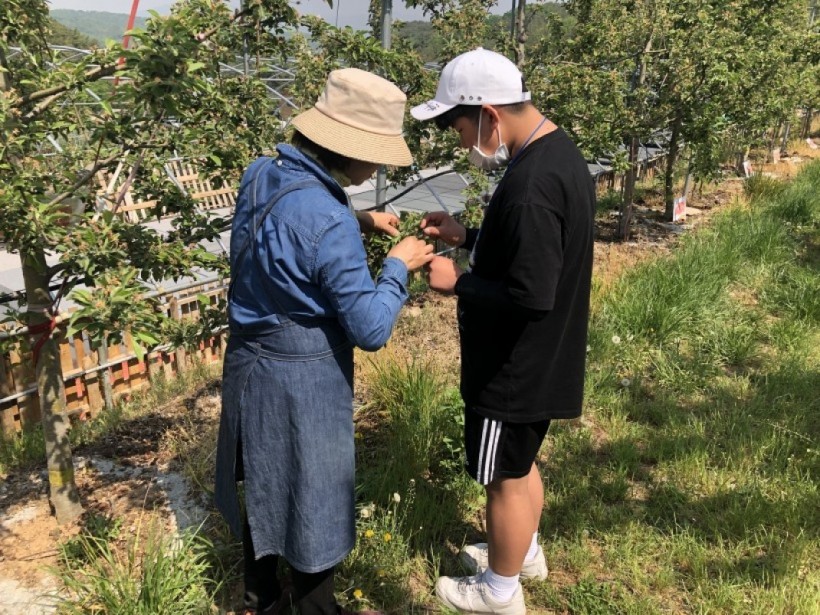 5d162afd351557f881ee5ad00d7cf7d0_1557885