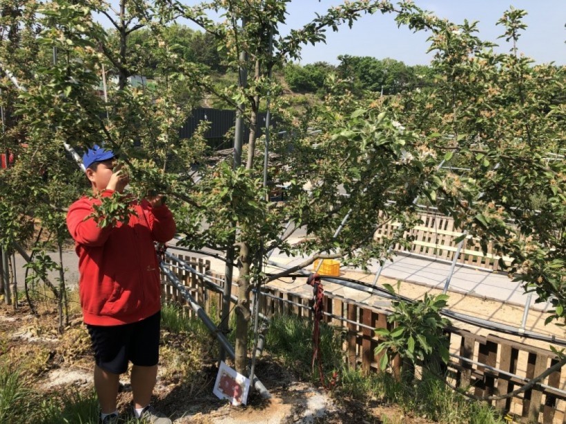 5d162afd351557f881ee5ad00d7cf7d0_1557885