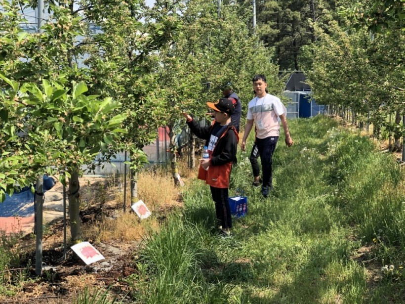 5d162afd351557f881ee5ad00d7cf7d0_1557885