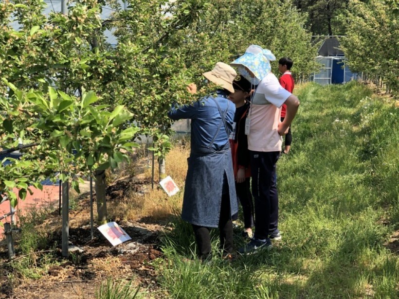 5d162afd351557f881ee5ad00d7cf7d0_1557885