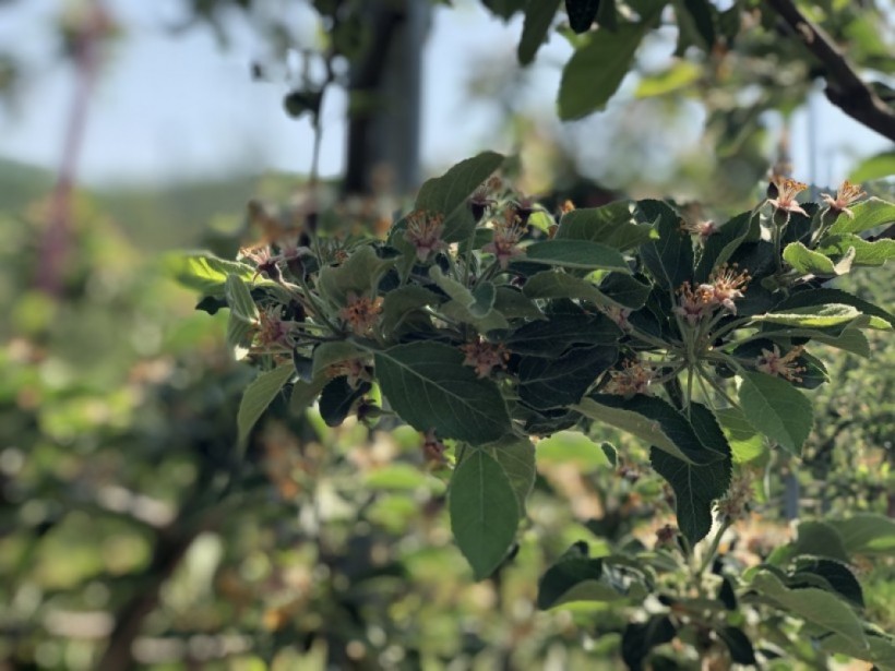 5d162afd351557f881ee5ad00d7cf7d0_1557885