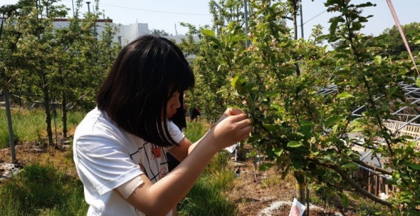 5d162afd351557f881ee5ad00d7cf7d0_1557885