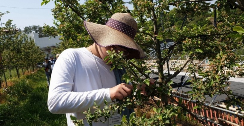 5d162afd351557f881ee5ad00d7cf7d0_1557885